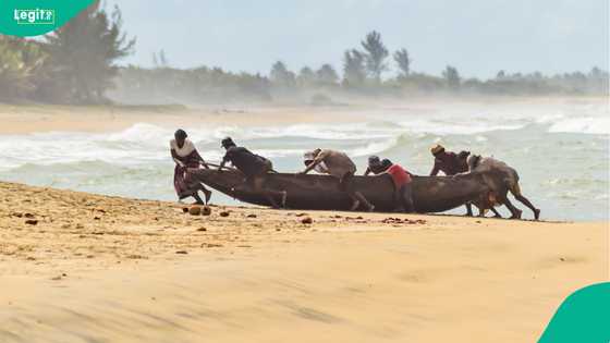 20 people killed after powerful cyclone tears through Madagascar