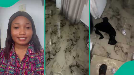 "Nobody warned me": Lady breaks down as newly rented apartment gets flooded, video trends