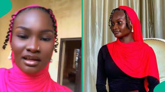 Female student cries out after finding 'unknown insect' on her bed: "What do we call this?"