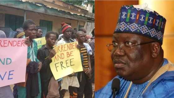 Some repentant Boko Haram may not be genuine, Senate president Ahmed Lawan says