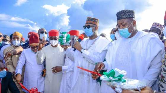 Open grazing still on in southeast, our govs only deceiving us - Onyike, ex-governor, allege