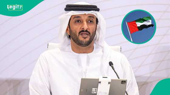 UAE announces urgent processing fee for 60-day single-entry visa, mentions duration