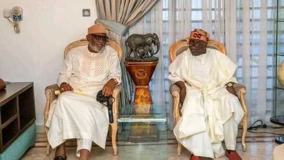 Why Fayemi was absent during visit to Tinubu’s residence, Governor Akeredolu gives important reason