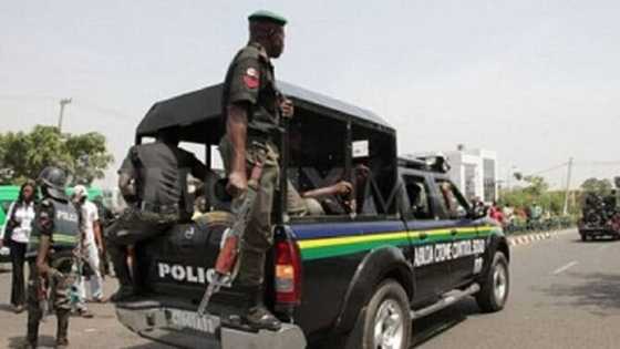 Kowa yaci ya amayar: Ƴan sanda sun cafke mutane 238 da laifin satar kayan tallafi a Adamawa