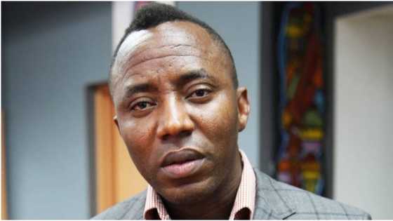 Da dumnsa: Jami'an tsaro sun damke Omoyele Sowore, an kaishi Abbatoir