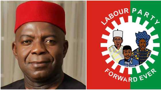 BREAKING: Labour Party moves to reverse court judgement nullifying Alex Otti’s candidature
