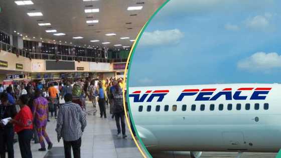 “N102k”: Air Peace, Max Air, others raise airfares as data shows Nigerian zones with highest rates