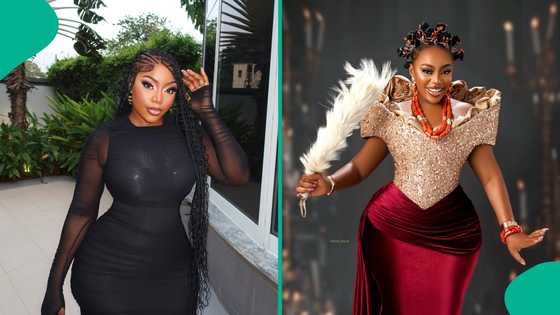 Ashmusy’s recent video elicits reactions as fans drag her BBL doctor: “Hip is already falling off”