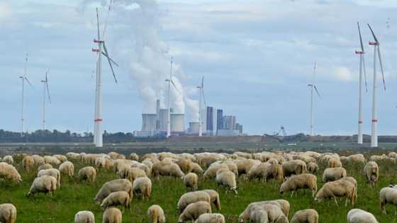 IEA sees global energy emissions peaking in 2025