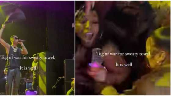 Wizkid's concert: 2 mature ladies fight each other as they struggle to go home with singer's sweaty towel