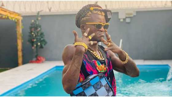 Portable: 5 times controversial Zazu crooner has caused a stir online just under months of his emergence