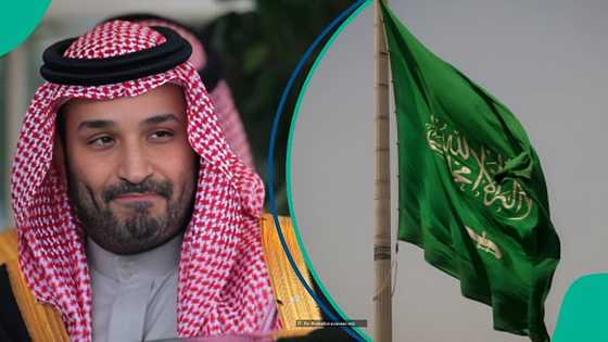 Saudi Arabia publishes list of 7 countries eligible for tourism visa, releases official list