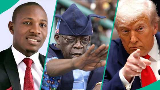 US invasion threats: "Why Nigerians must reject Trump," Top lawyer speaks