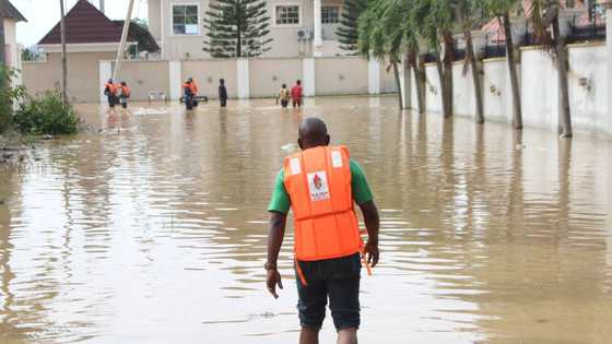 Flooding coalition releases 2 years assessment report on top FG's agency