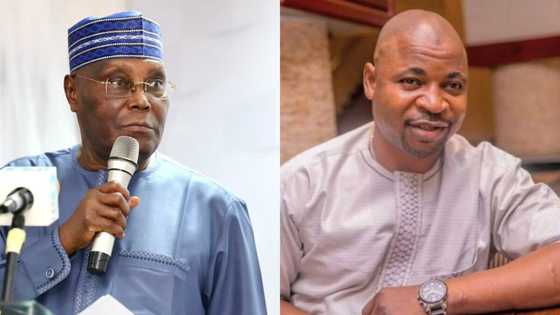 'Don’t use MC Oluomo to distribute Lagos election materials,' Atiku’s aide warns INEC
