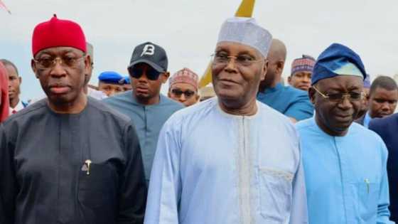 PDP crisis: Finally, Atiku takes crucial decision over call for Ayu's resignation