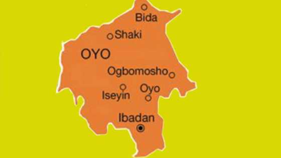 Daga Shiga Motar Haya a Titi, An Halaka Matasa 3 Tare da Cire Sassan Jikinsu