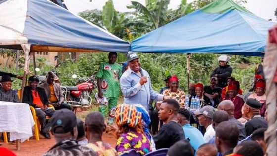 Uzor-Kalu laments as Nigerian youths keep him awake at 3 am after saying APC will lose in 2023, video emerges