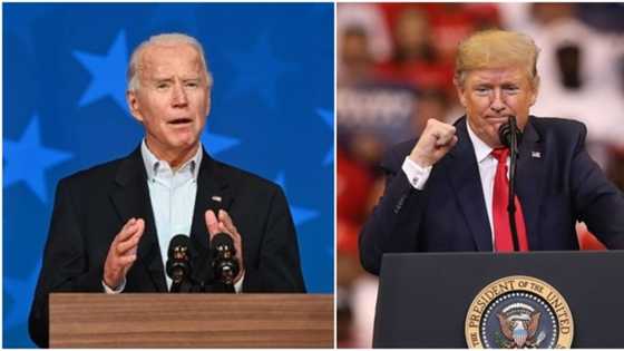 US election: Donald Trump records huge victory over Joe Biden, wins more electoral college votes