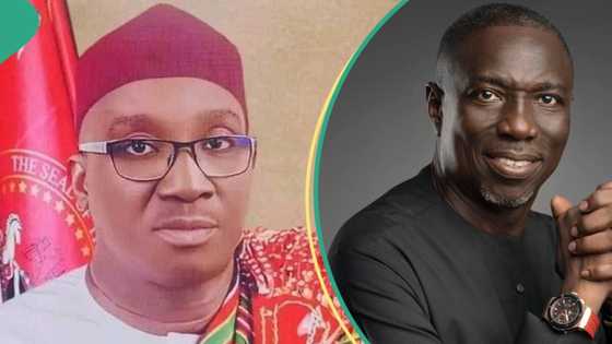 Edo election 2024: Tension as PDP levels fresh allegation against APC, Labour Party, "unholy"