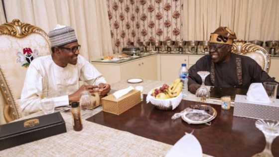 Buhari's interview: Presidency insists Lagos reference has nothing to do with Tinubu
