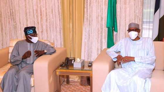 Labari Cikin Hotuna: Jagoran Jam'iyyar APC Bola Tinubu ya dira Fadar Shugaba Buhari Aso Villa
