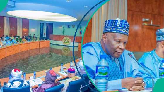 'Yan sandan jihohi: Gwamnonin Arewa sun hade, sun mara wa kudirin Tinubu baya