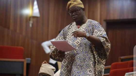EXCLUSIVE: I don't have any comment on Femi Fani-Kayode, says Basiru