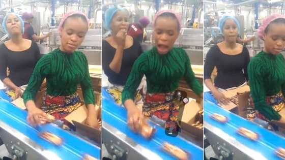 "Na these girls deserve urgent 2k": Pretty Nigerian ladies working at biscuit factory impress people with their skill