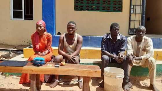 Yadda wata budurwa ta sace kaninta a Adamawa tana neman kudin fansa N6,000,000