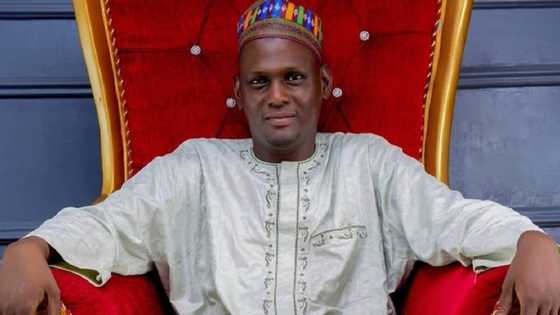 Kano: Shugaban Jam’iyyar NNPP, Hashim Habib, Ya Yi Maraba Da Kwankwaso, Amma Ya Yi Masa Wani Muhimmin Gargaɗi