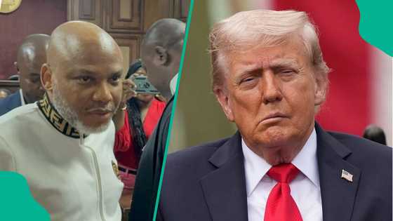 Does US honorary citizenship give Trump’s country legal power over Nnamdi Kanu’s case? Fact emerges