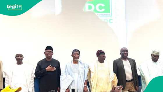 2027 election: Tinubu's spokesman reacts as coalition adopts ADC