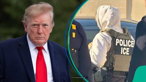 US releases list of 14 benefits available to people who join ICE