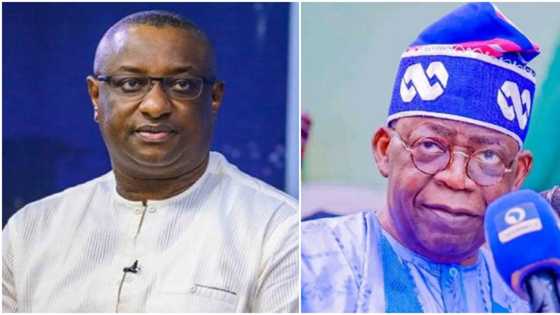 2023 presidency: How Buhari, northern APC govs will work for Tinubu, Powerful chieftain reveals