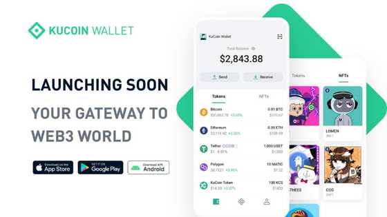 All You Need to Know About leading Crypto Wallet, KuCoin