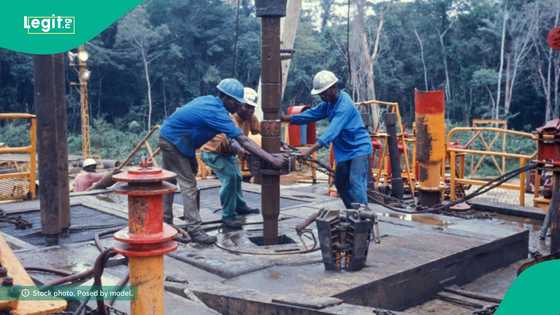 Nigerian company discovers another oil reserve worth over $15Bn, NNPC unaware of its existence