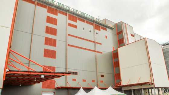 How Flour Mills of Nigeria is Localizing Sustainability across Various Touchpoints