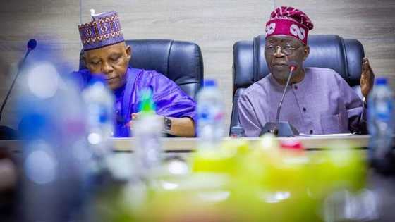 Mulkin Najeriya ba dakon siminti bane: Shettima ya yi rantsuwa, ya ce Tinubu ya fi ni koshin lafiya
