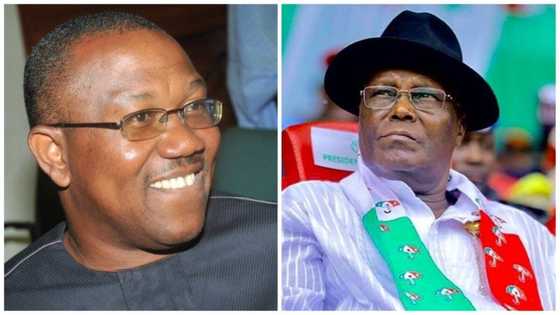 Atiku gives bit-by-bit details of why Peter Obi, Labour Party cannot win 2023 presidential election