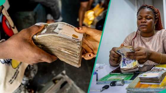 New report shows women repay loans better than men in Nigeria