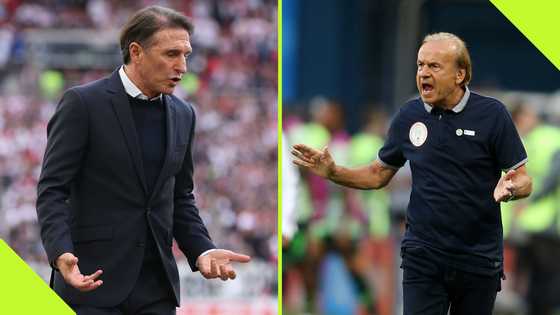 Ex Super Eagles boss Gernot Rohr sends warning to new coach Bruno Labbadia