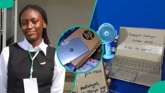 Hallelujah Challenge: Lady who used carton to make laptop gets new one for free in less than 24 hrs