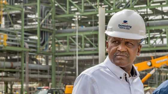 Kudin Dangote sun kara yawa da N1.5bn yayin da aka kaddamar da kamfanin takinsa