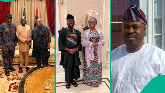 “No be dis guy unclad for bush?” Davido drags Osun APC leader over Gov Adeleke's defection rumours