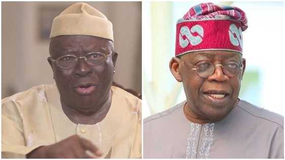 2023: Tinubu's ambition hits rock in southwest as Afenifere plans new political party