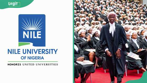 Nile University scholarship options and how to apply for them