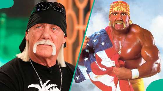 Hulk Hogan: Police confirm WWE legend's real cause of death as investigation concludes