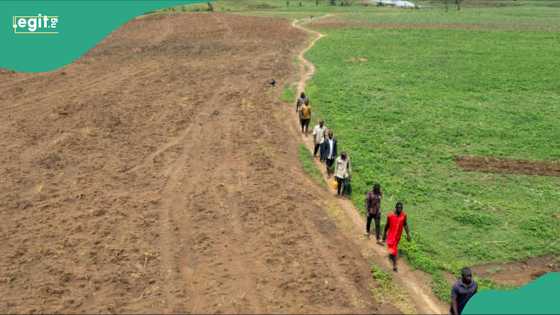 Tinubu ya fito da salon tsarin tsaro a Arewa domin maganin yan bindiga