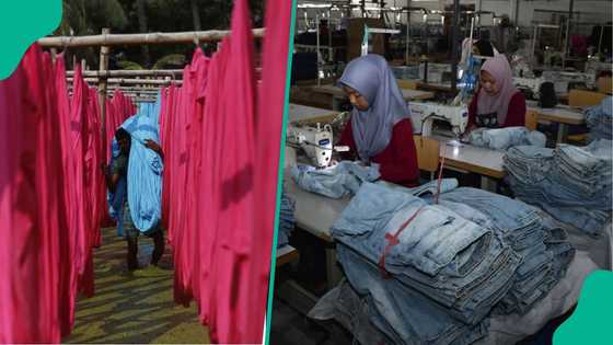 Governor concessions state-owned Garment Factory, others to Indian business group
